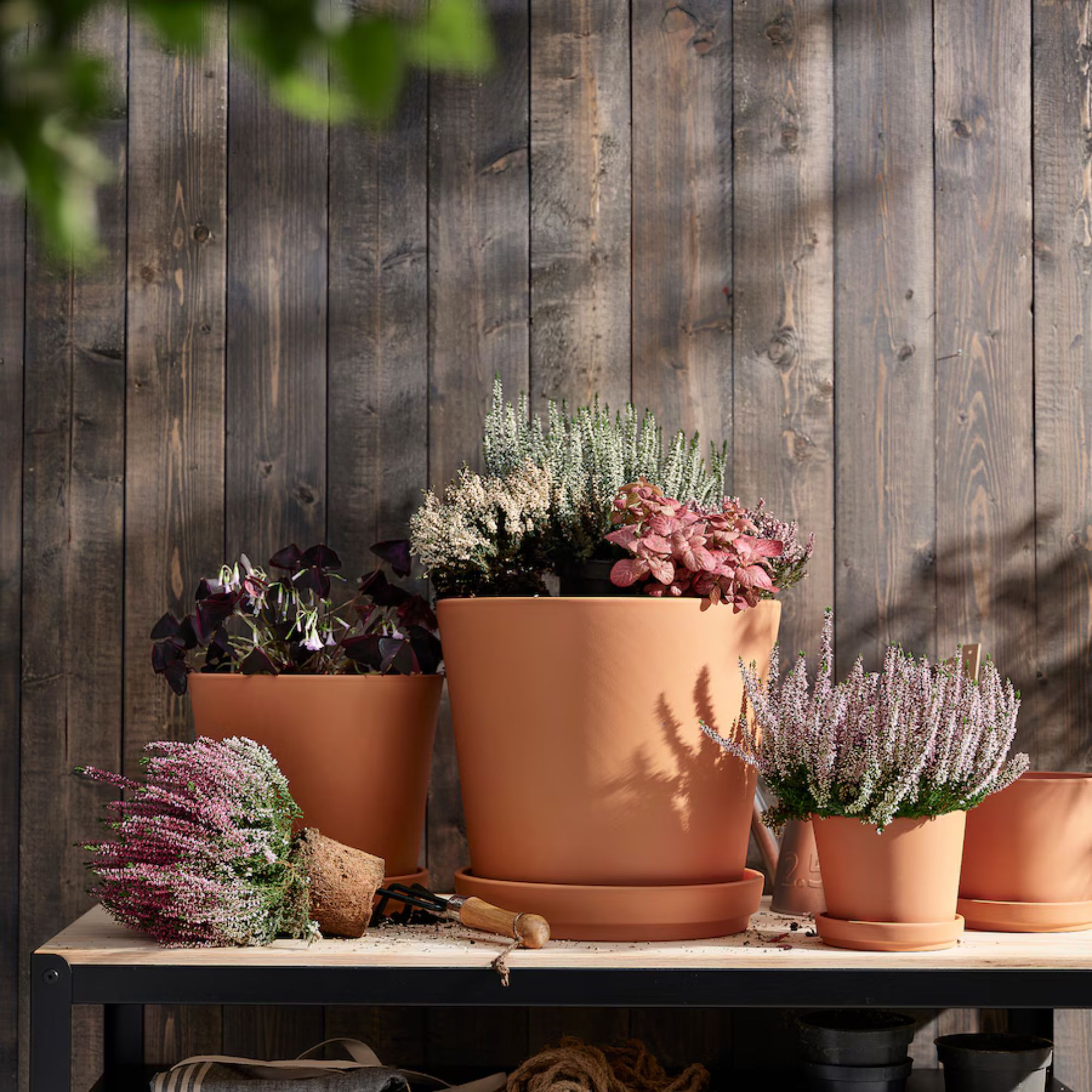 BRUNBÄRPlant pot with saucer, outdoor terracotta, 24 cm