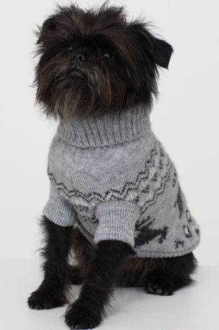 Gifts for pets H&M