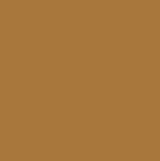 Caramel color paint swatch