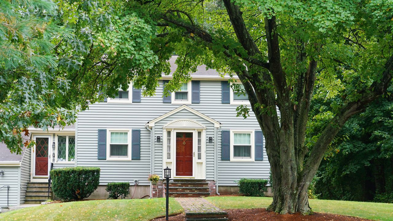 Large tree growing in front yard of house