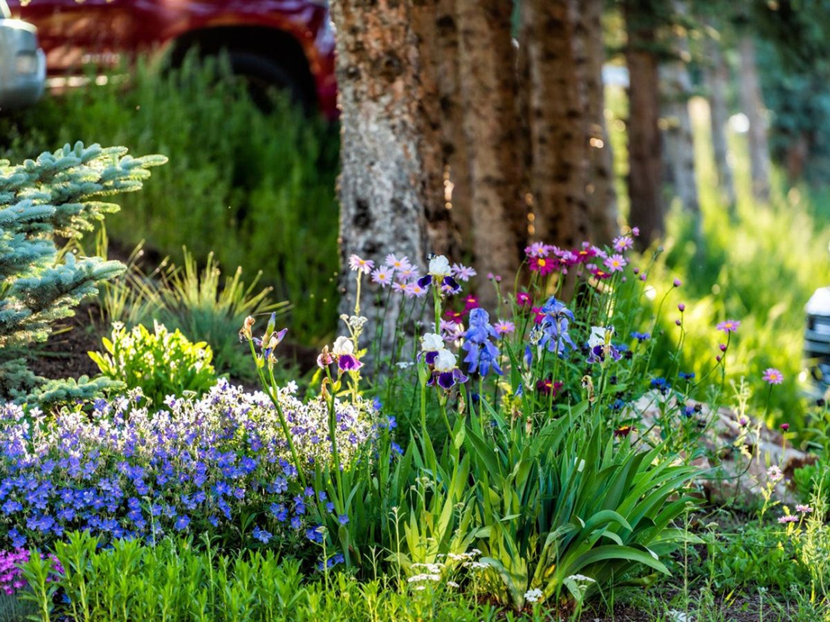 All Season Flower Gardens - Designing Year Round Gardens | Gardening ...