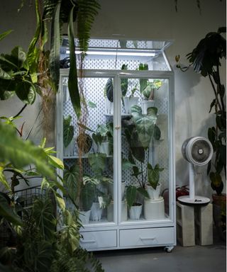 Glass cabinet greenhouse