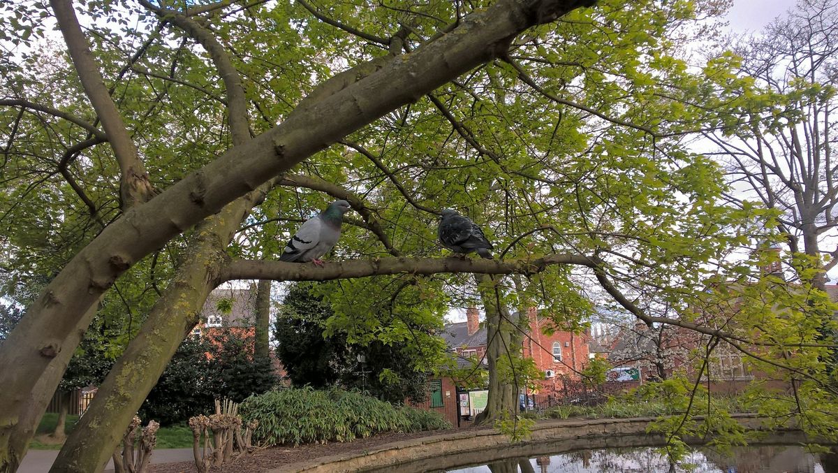 Lumia 640 rear camera test