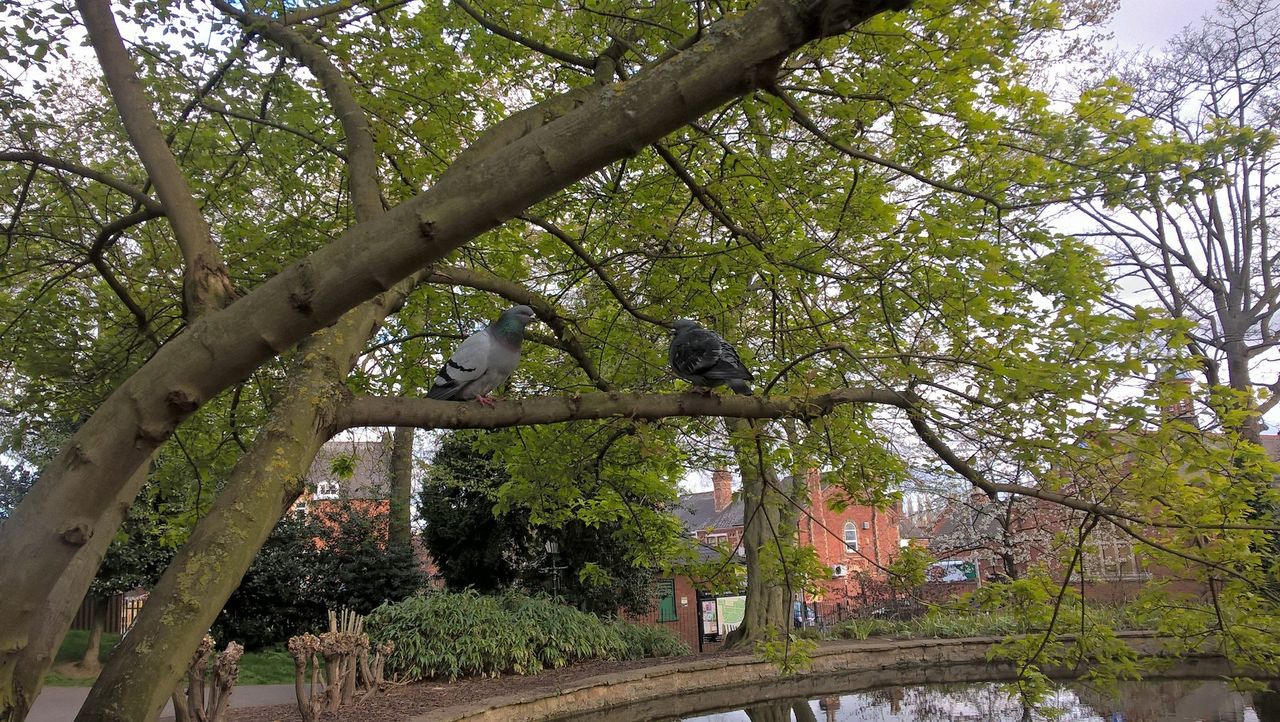 Lumia 640 rear camera test