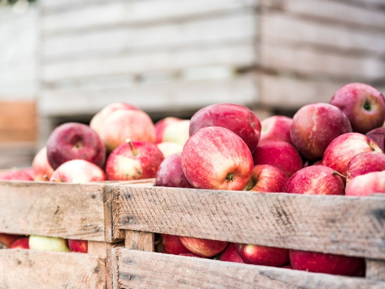 Apples in a wooden crate