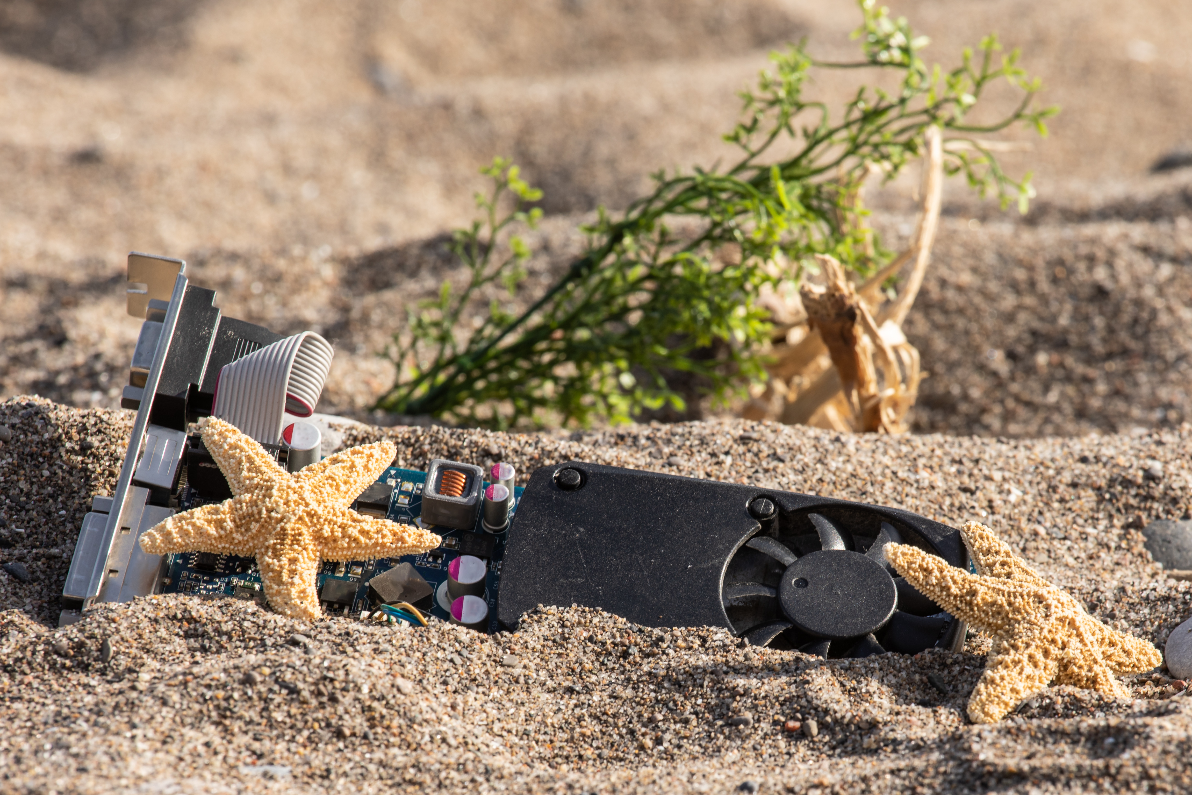 An old GPU sitting half-buried by sand on a beach with some starfish.