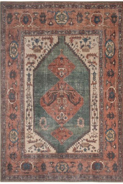 Terracotta Distressed Bordered Medallion Rug