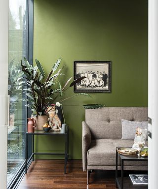 Green painted walls by Farrow & Ball