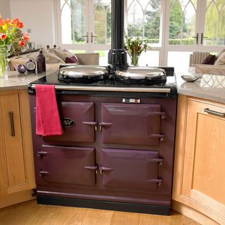kitchen area with purple cooker and kitchen area and wooden countertop