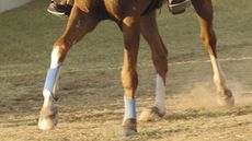 endurance-2.jpg