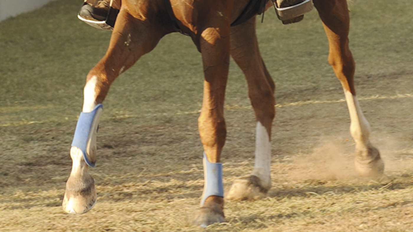 endurance-2.jpg