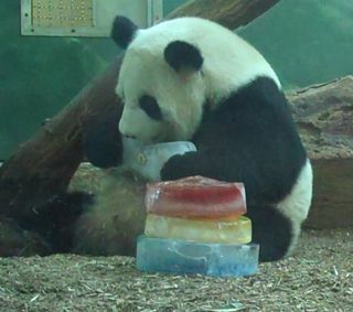 Po's mom, Lun Lun, got first dibs on the goods.