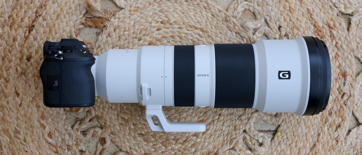 I tested Sony’s longest telephoto zoom lens, and it’s a winner for wildlife photographers