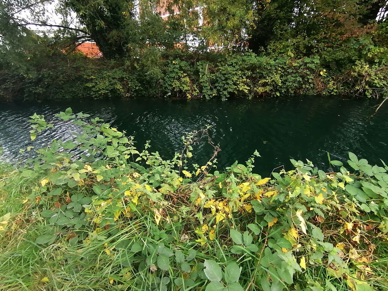 Ultra-wide snap - look how rich the colors are