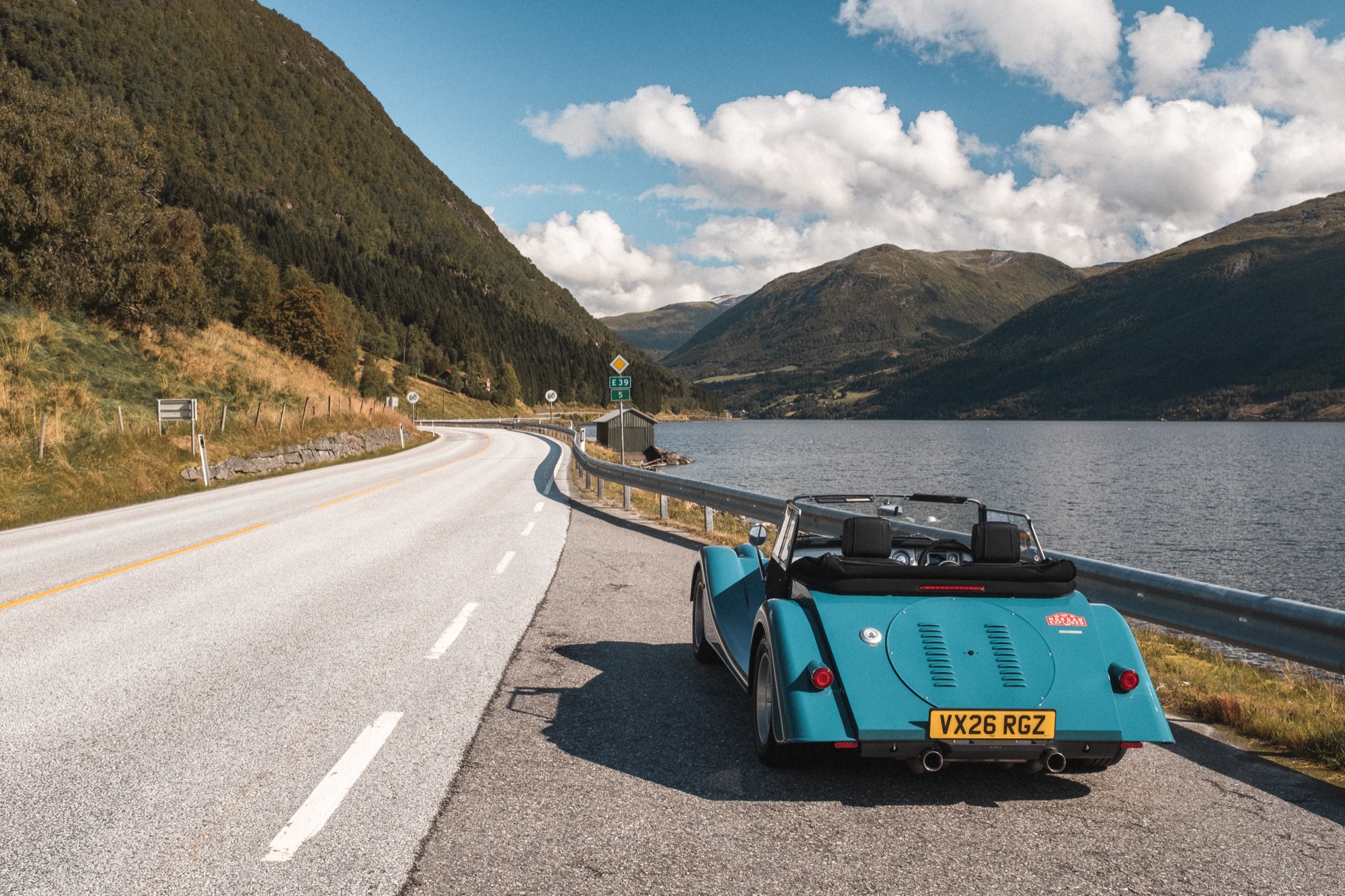 A morgan by the side of the road next to a lake