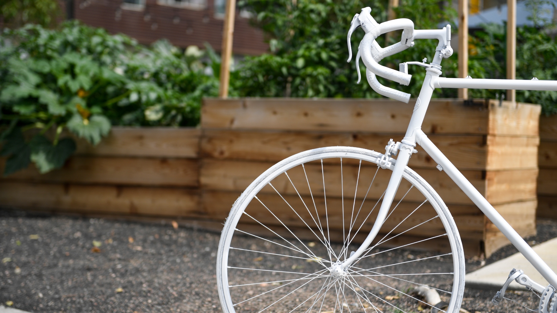 A ghost bike marks a spot where a cyclist was killed
