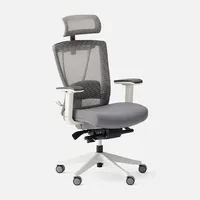 Autonomous Ergochair Pro Autonomous Ergochair Pro