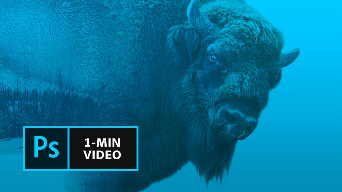 Make a double exposure in Photoshop | Creative Bloq
