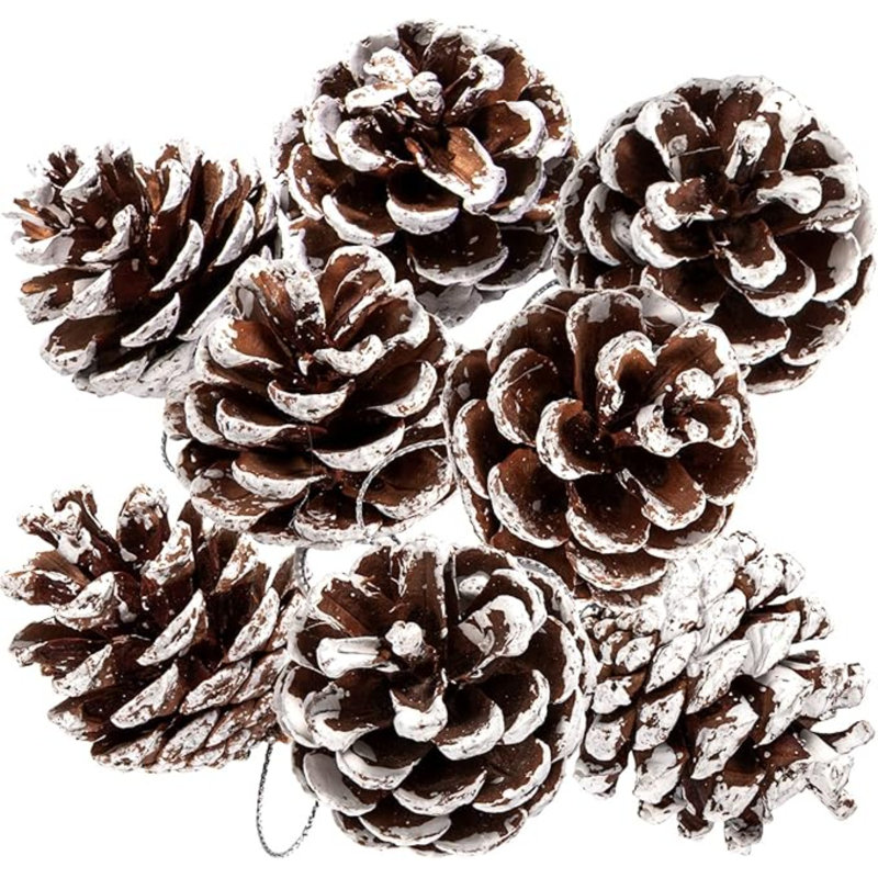The Holiday Aisle&amp;reg; 27pcs Christmas Natural Pine Cones Bulk Rustic Snow Pinecones With String Pine Cone Pendant Winter Holiday Hanging Ornament for Xmas Tree Gift Tag Party Decoration | Wayfair