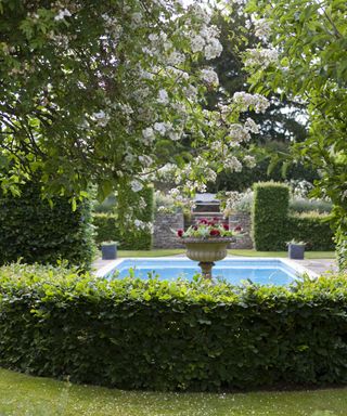 Garden hedge with view to outdoor pool