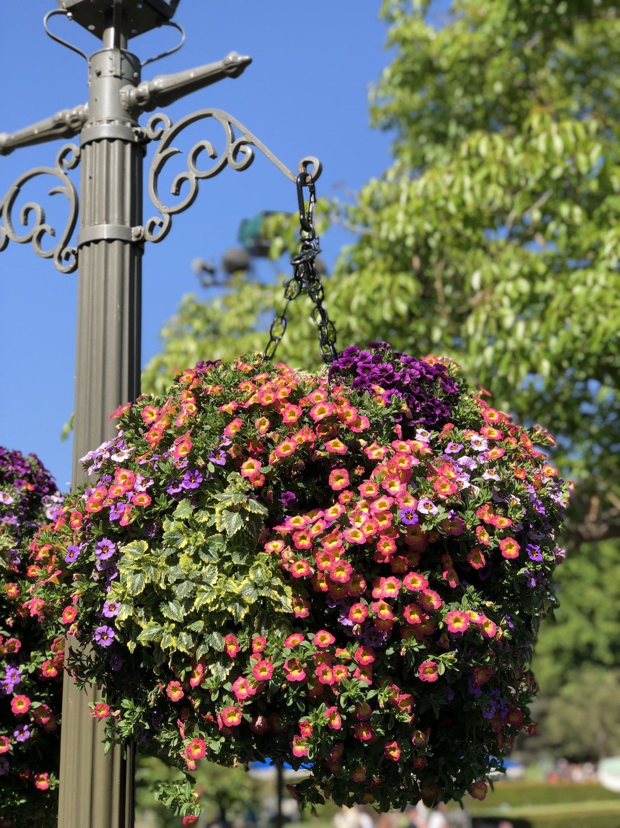 Disneyland Floral Bouquet decor