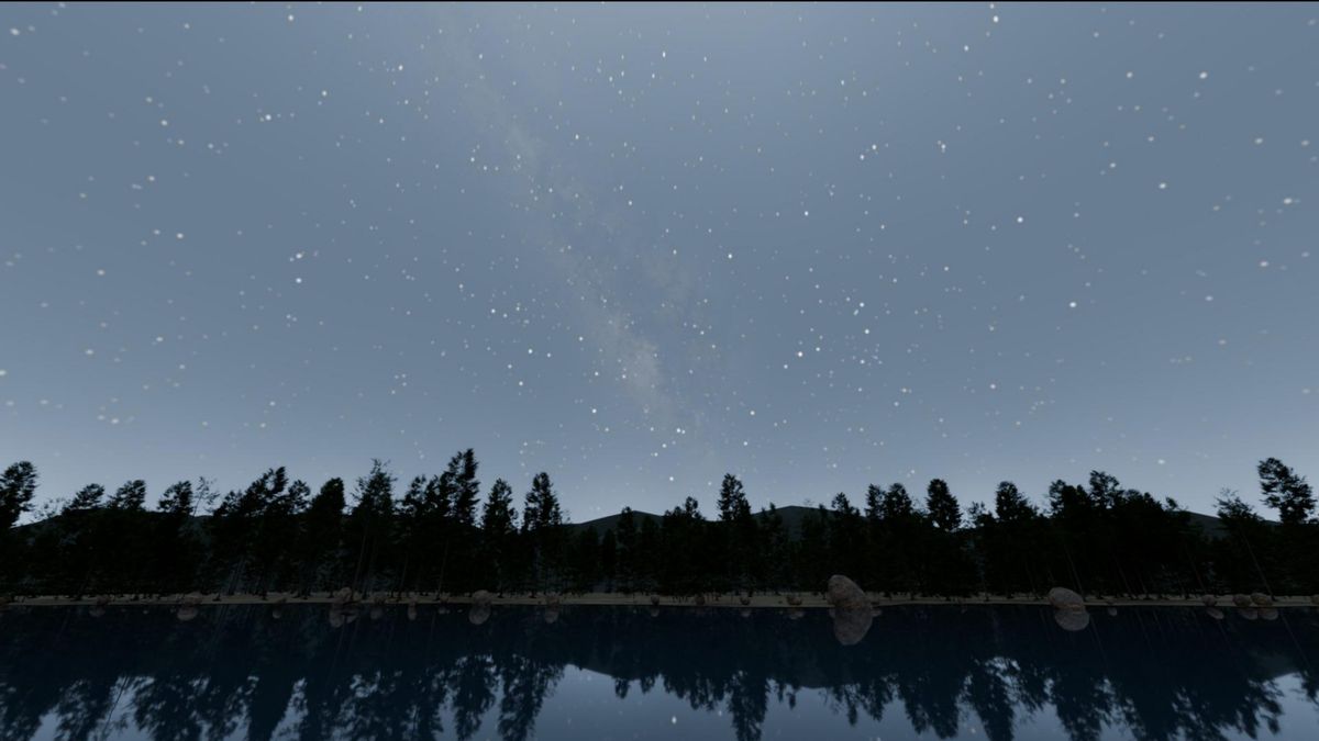 a night sky in which hundreds of stars are visible above a tree line