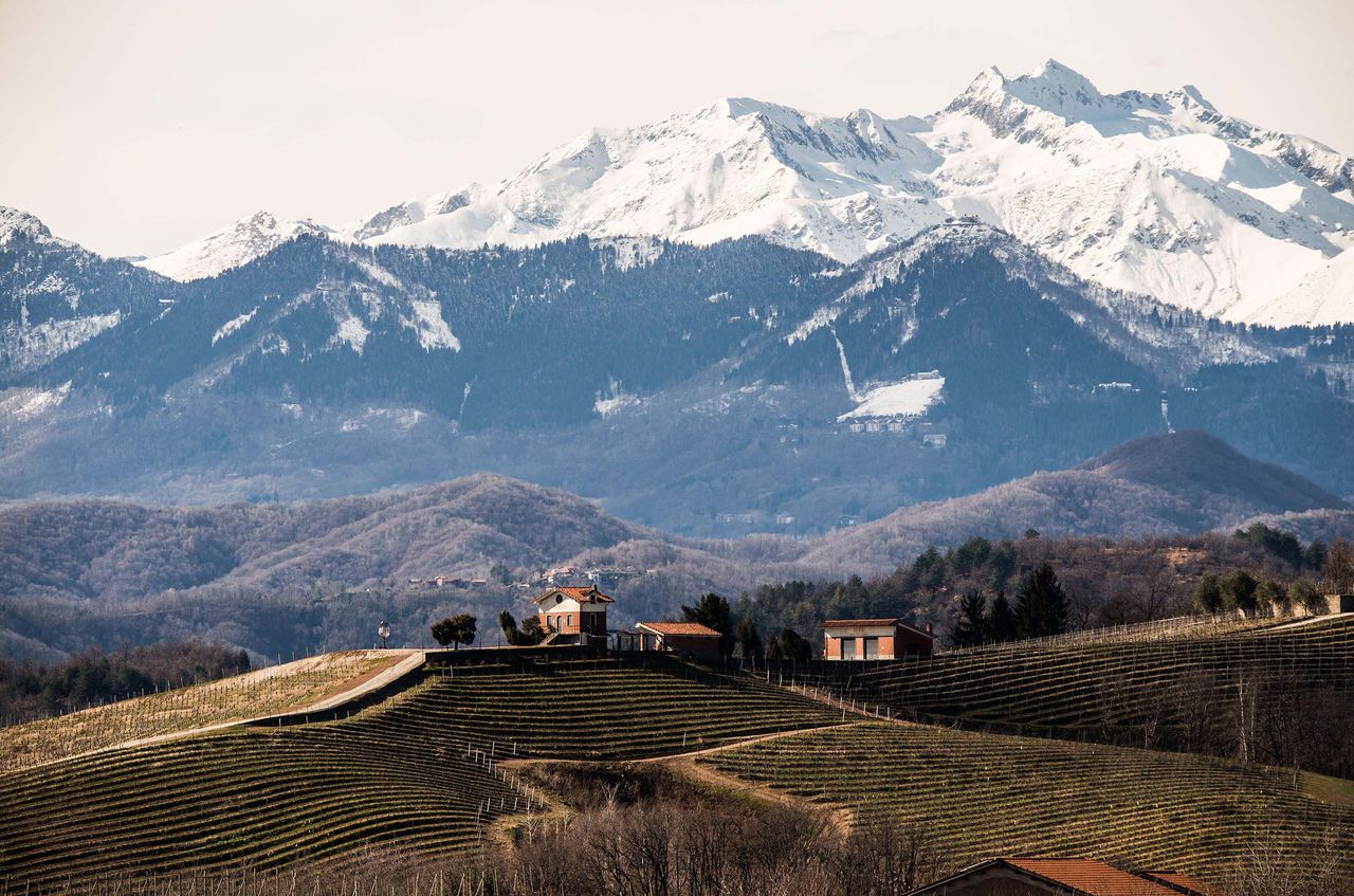 Alto Piemonte is home to Piedmont's ‘other Nebbiolo’, and deserves more attention
