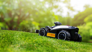 Robotic lawn mower on grass with trees in the background