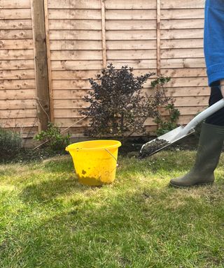 Applying lawn leveling mix with a shovel