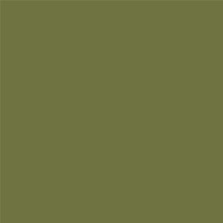 Avocado green paint from Benjamin Moore