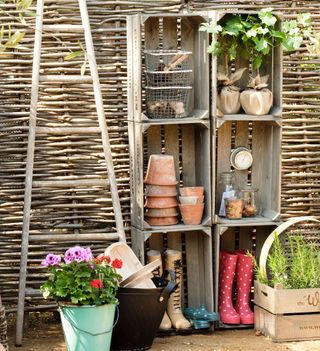 plants ladder and garden shelve