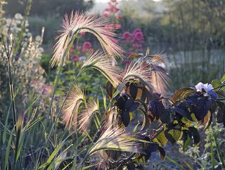 Rhodds Farm - Val Corbett / Country Life