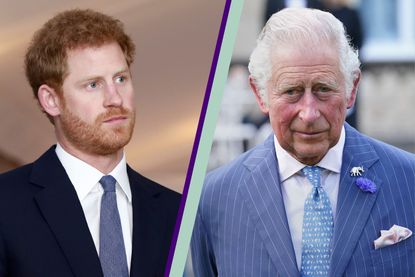 Prince Harry has ‘lost his dad’ - Prince Harry and Prince Charles side by side in a template