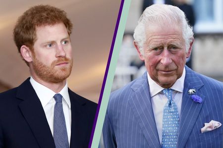 Prince Harry and King Charles III