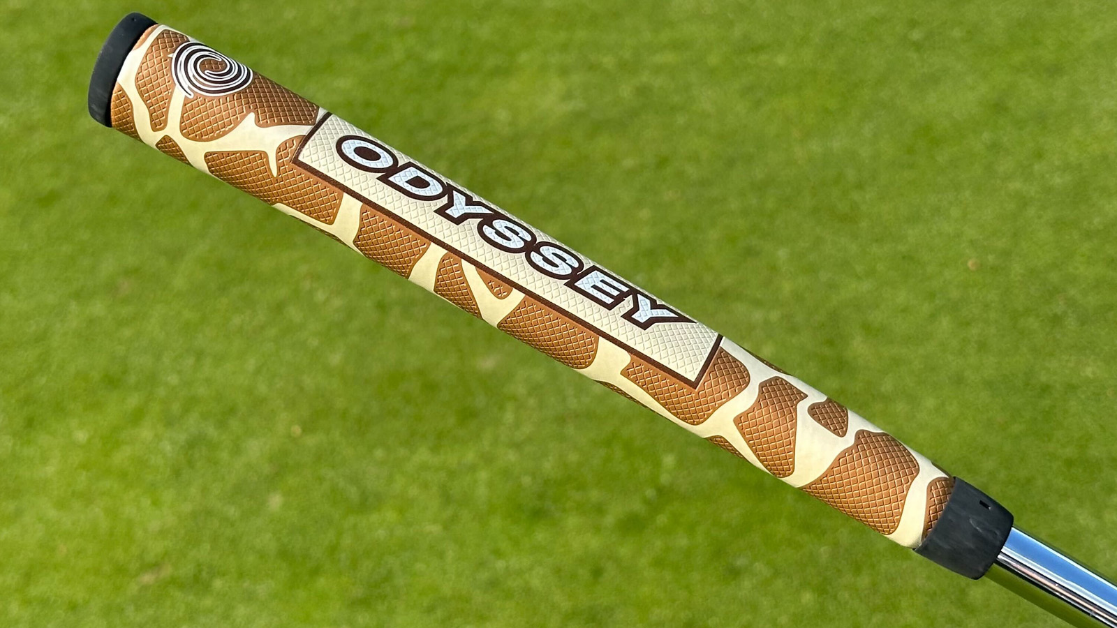 Is This The Coolest Limited Release Putter Ever?