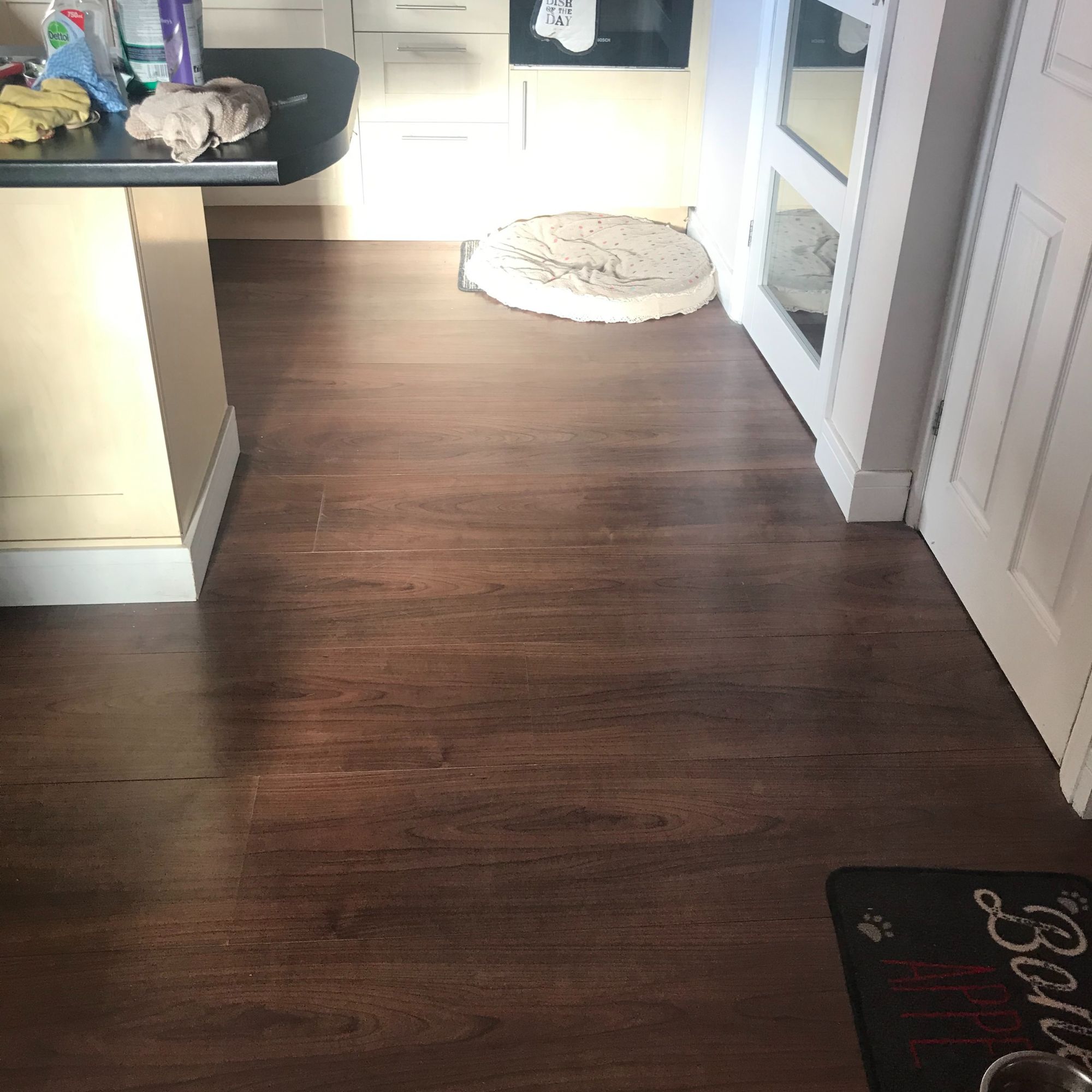 Daylight from new external door being shown reaching across the floor and towards a dog bed in the kitchen