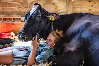 Photograph titled Charlotte and Dolly, depicting a young woman and her cow resting together in a barn to keep cool in the summer heat in West Virginia, United States. Captured by Vanta Coda III of the United States, and the winner of the Lifestyle category in the Open Competition of the Sony World Photography Awards 2026