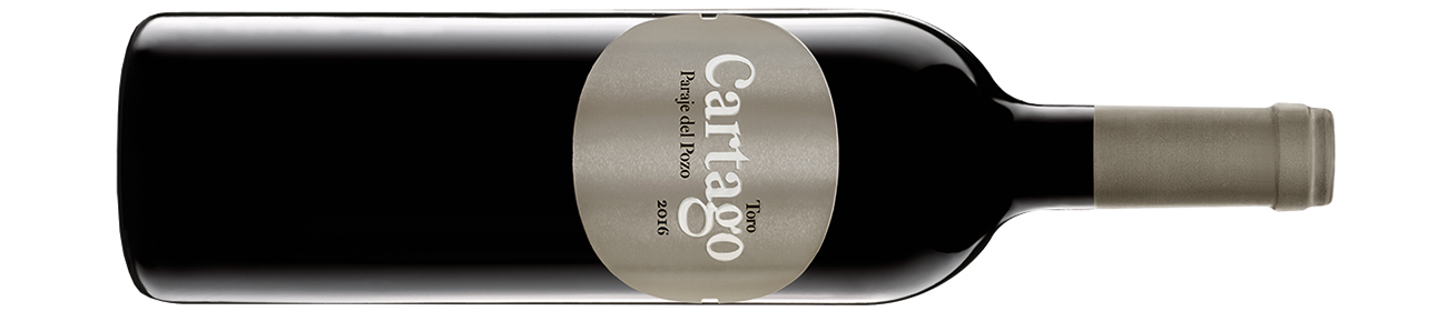 San-Rom&amp;aacute;n,-Cartago-2016