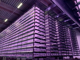 Vertical Farm in Copenhagen