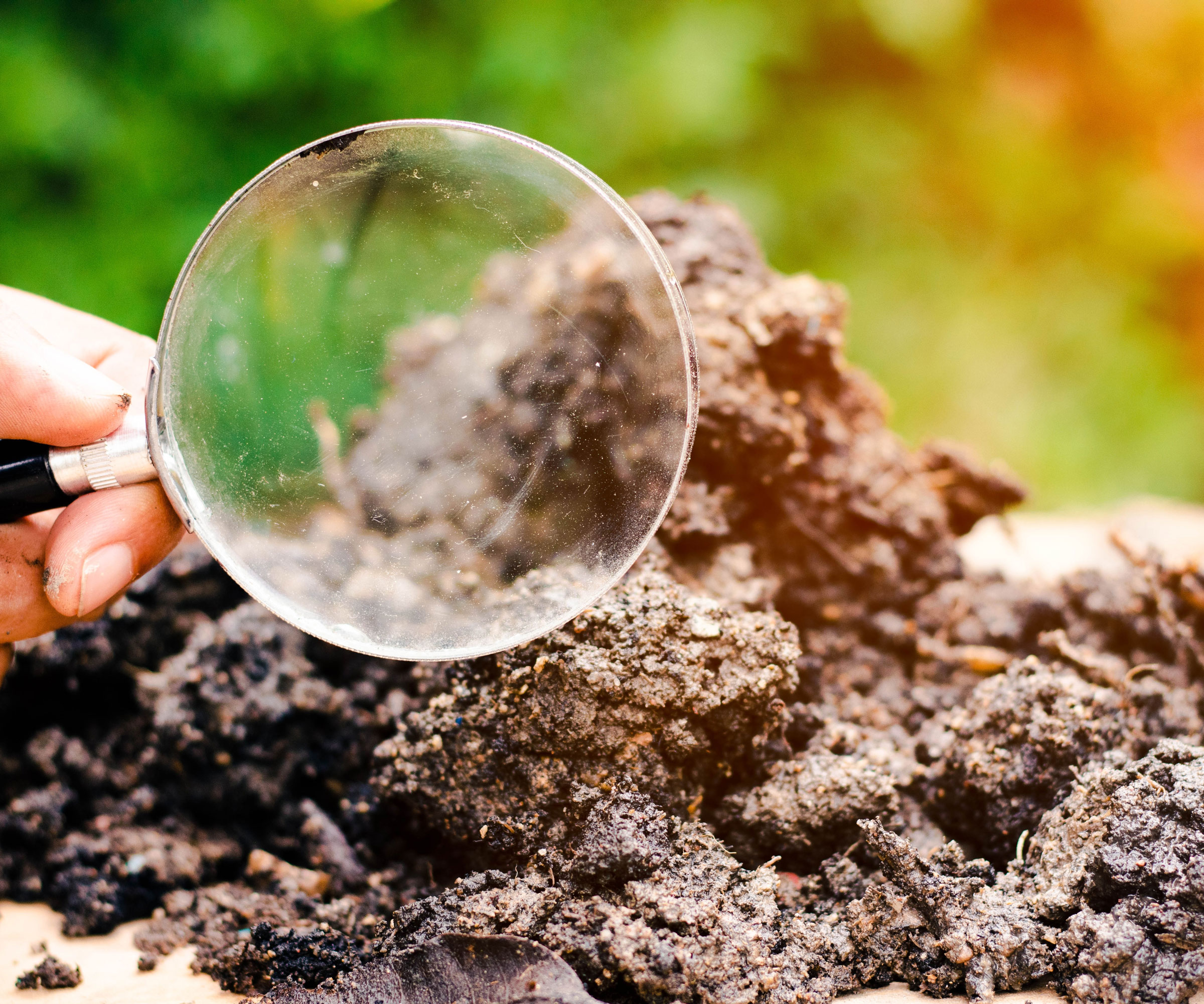 garden soil with magnifying glass