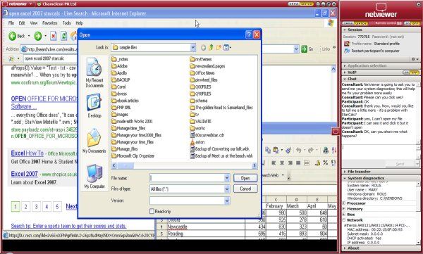 Step 4: Working in Netviewer