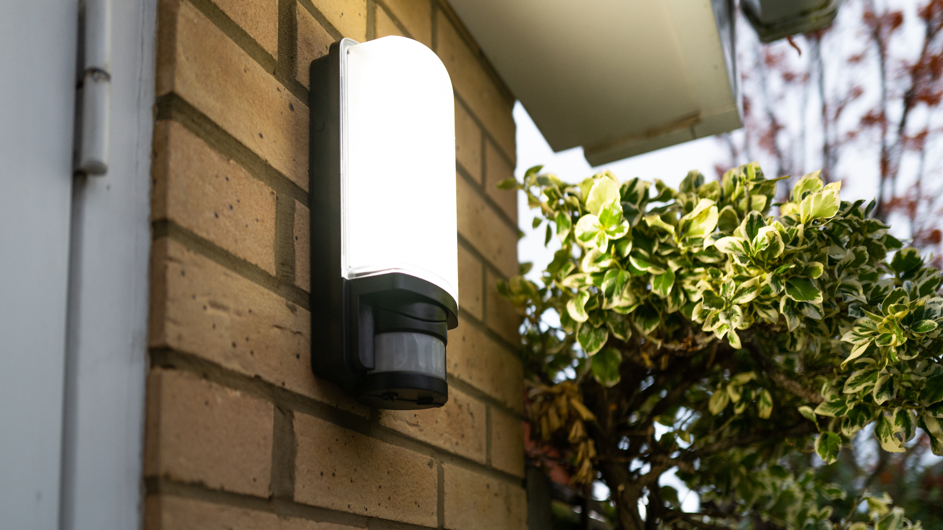 Garden security light on brick wall by door and hedge alongside