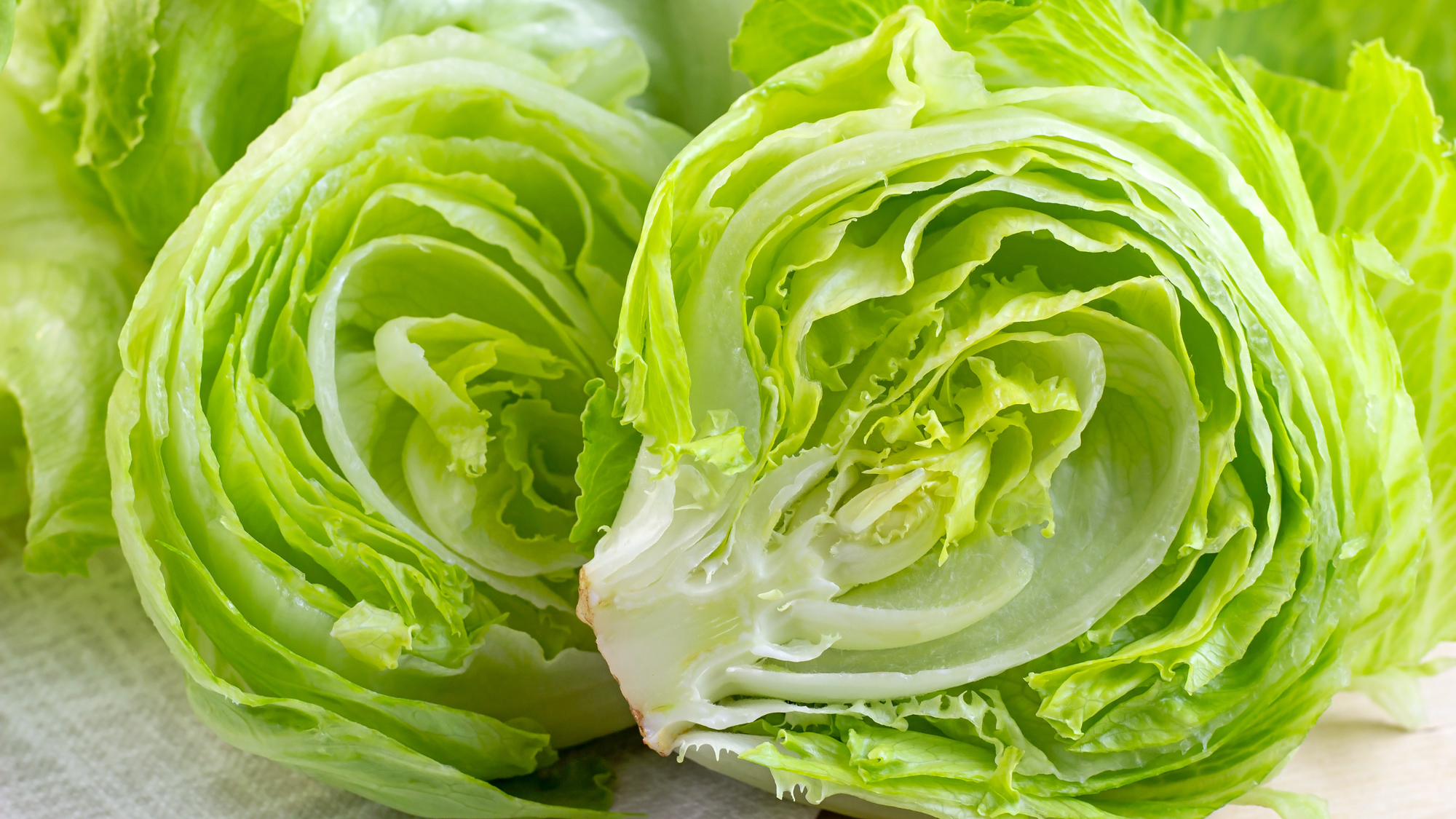 lettuce