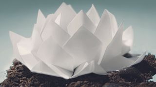 Cover art for Oceans Ate Alaska - Hikari album