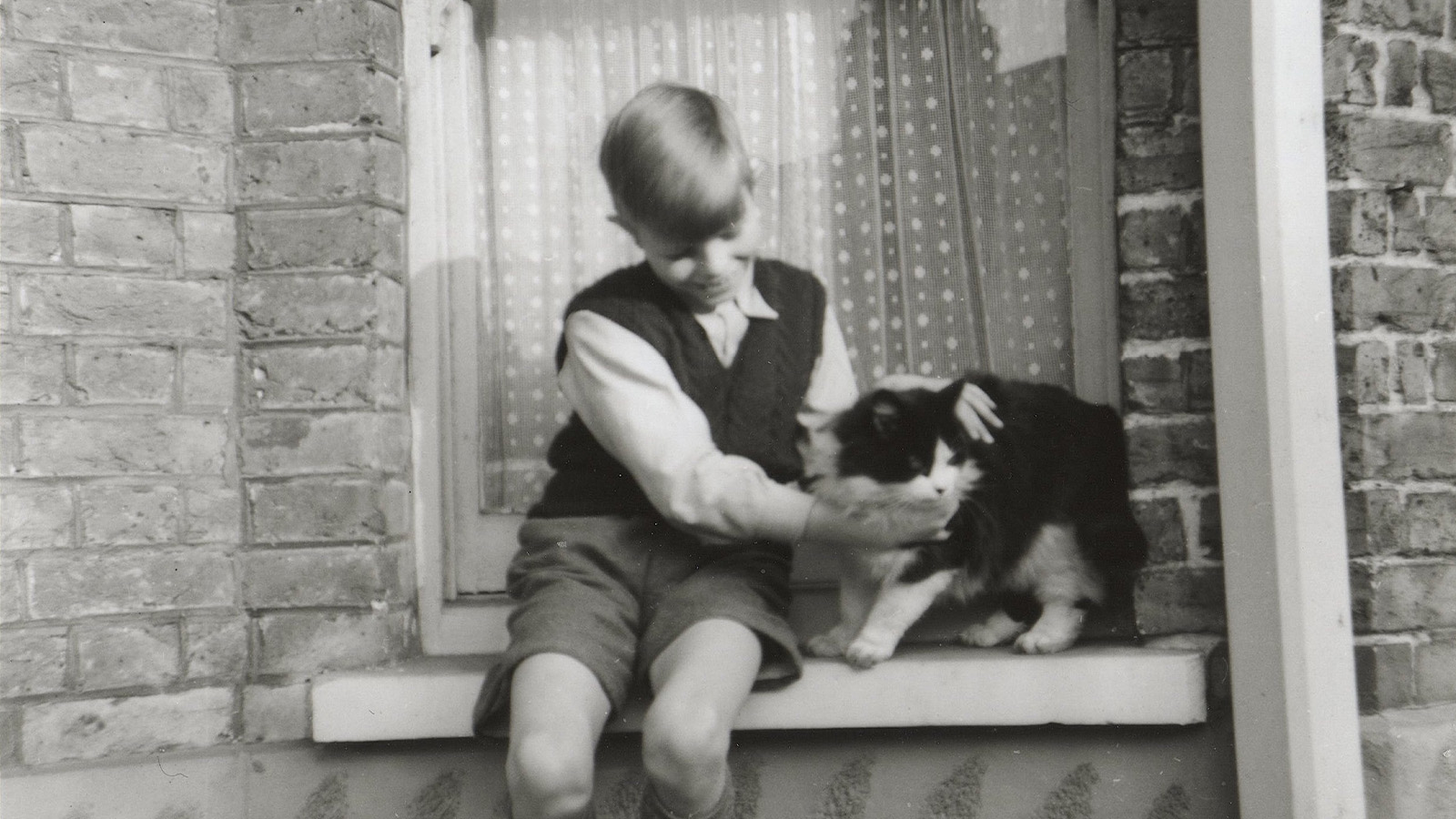 David Bowie with a cat