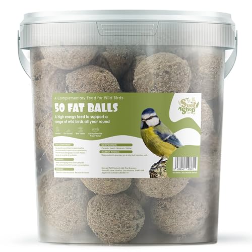Suet Shop - 50 Suet Fat Balls, 4kg Tub - Enriched With Human Grade Beef Tallow - High Energy Bird Food With Essential Oils &amp;amp; Protein - All-Season Fat Balls for Wild Birds - Manufactured in the Uk
