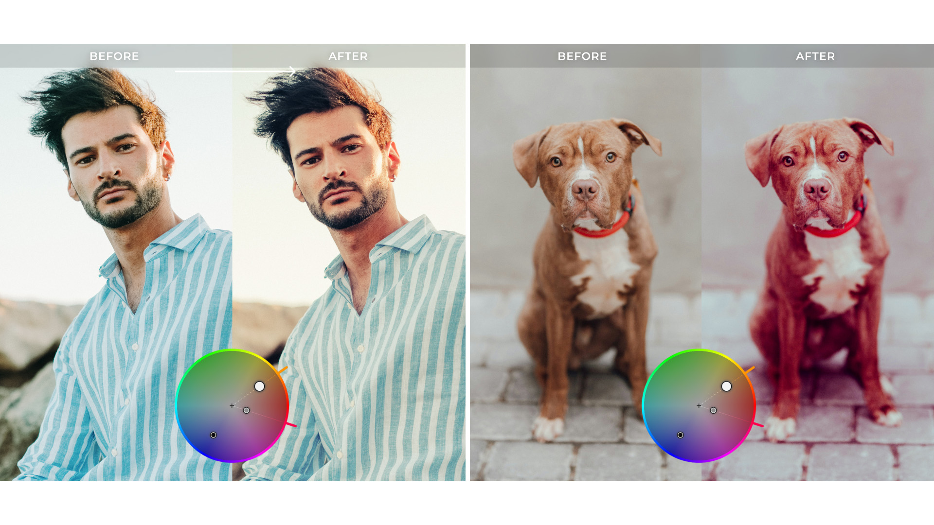 DxO PhotoLab 10 screenshots showing man and dog before and after images to showcase color grading tools