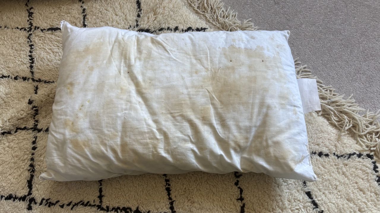 A stained pillow on a carpet.