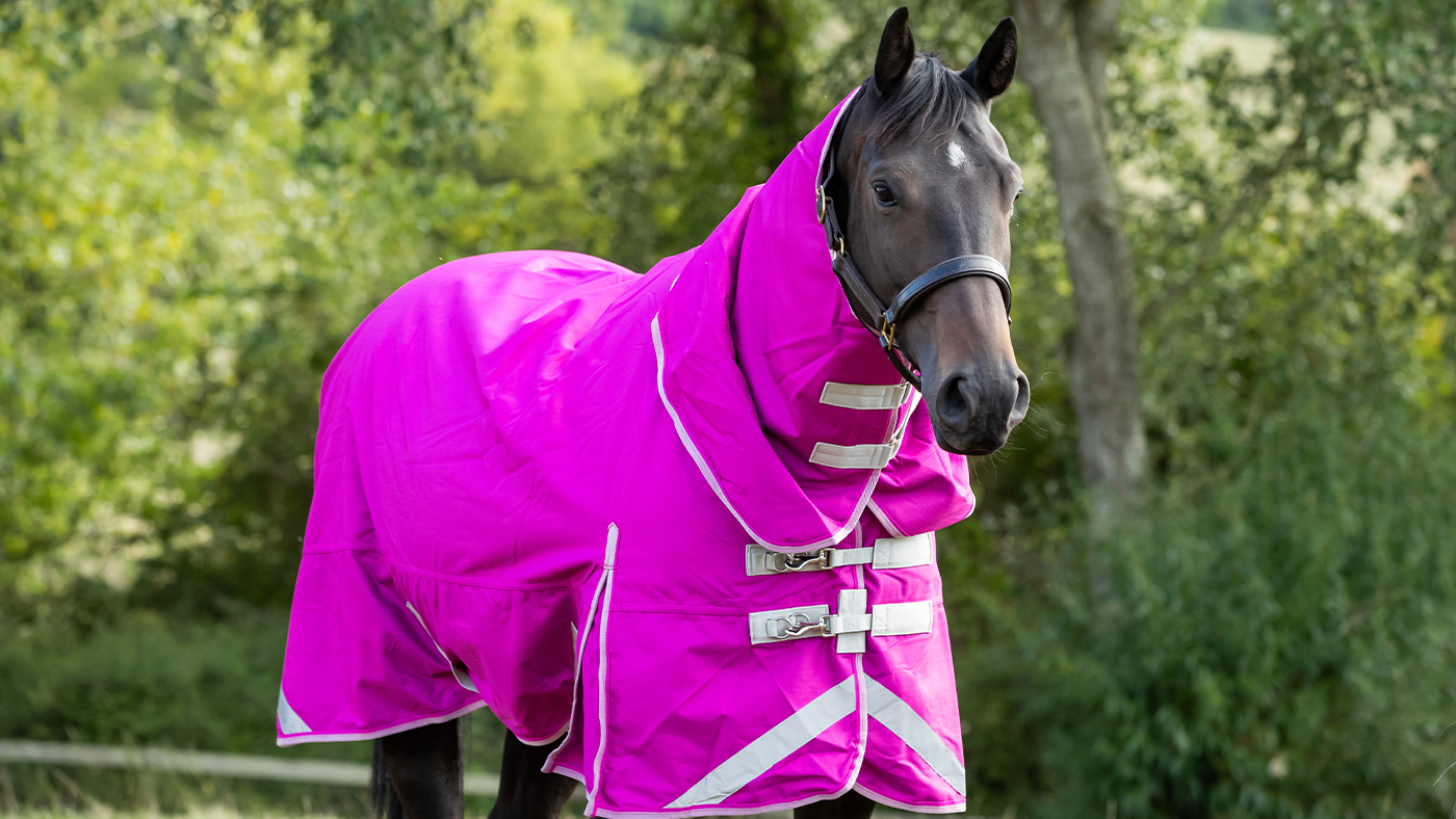 Swish 50g Detachable Neck Turnout rug