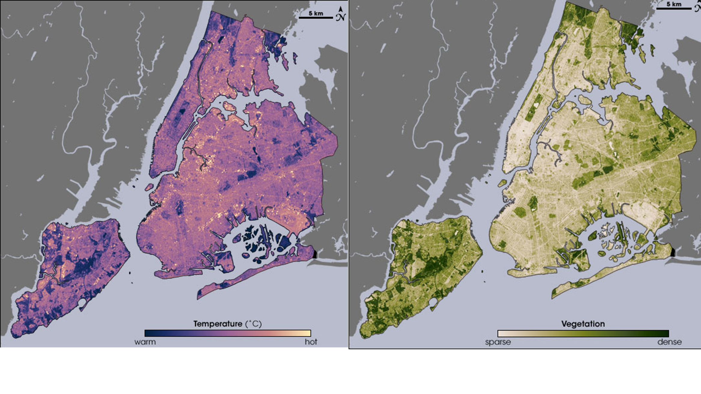 Map comparing New York vegetation and temperature